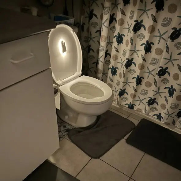 Toilet with built-in night light, seashell and turtle shower curtain, bathroom setup